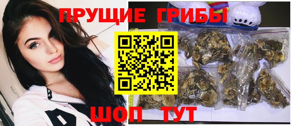 Псилоцибиновые грибы GOLDEN TEACHER Тавда