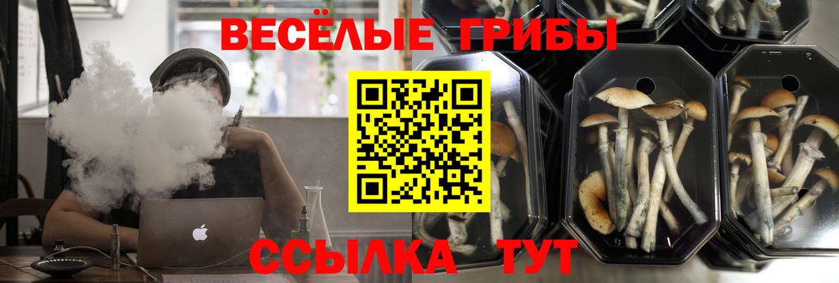 наркотики  Галлюциногенные грибы Psilocybine cubensis  Вход с VPN  Тавда 